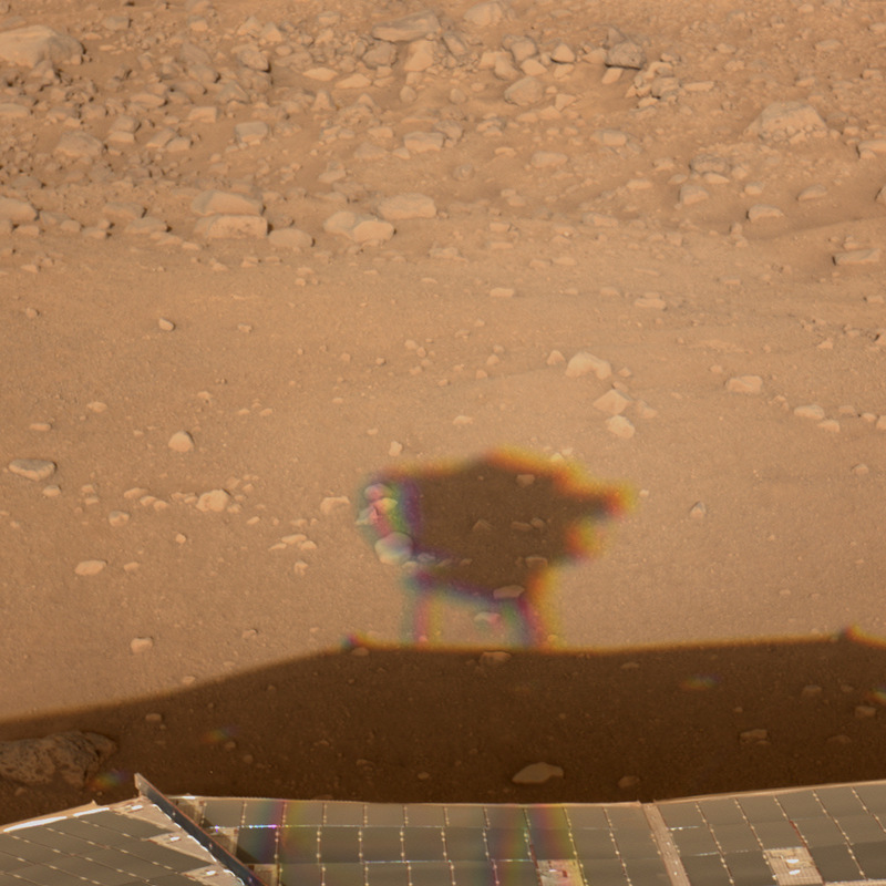 phoenix on mars