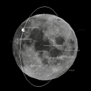 Moonbell