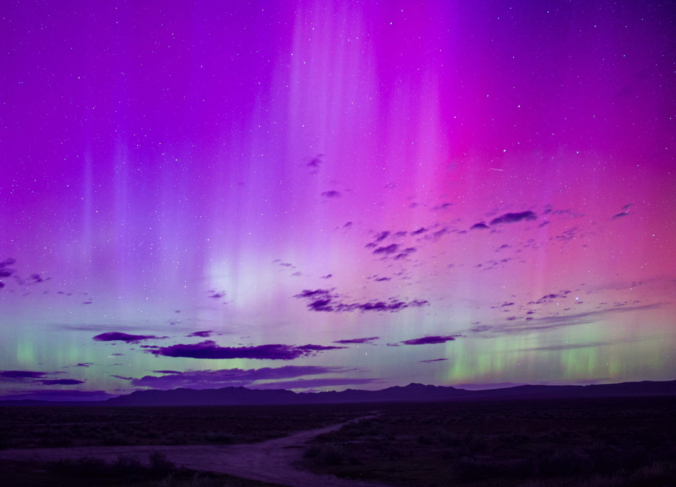 a dark horizon at night. in the sky are curtains of light in shades of purple, yellow, and green