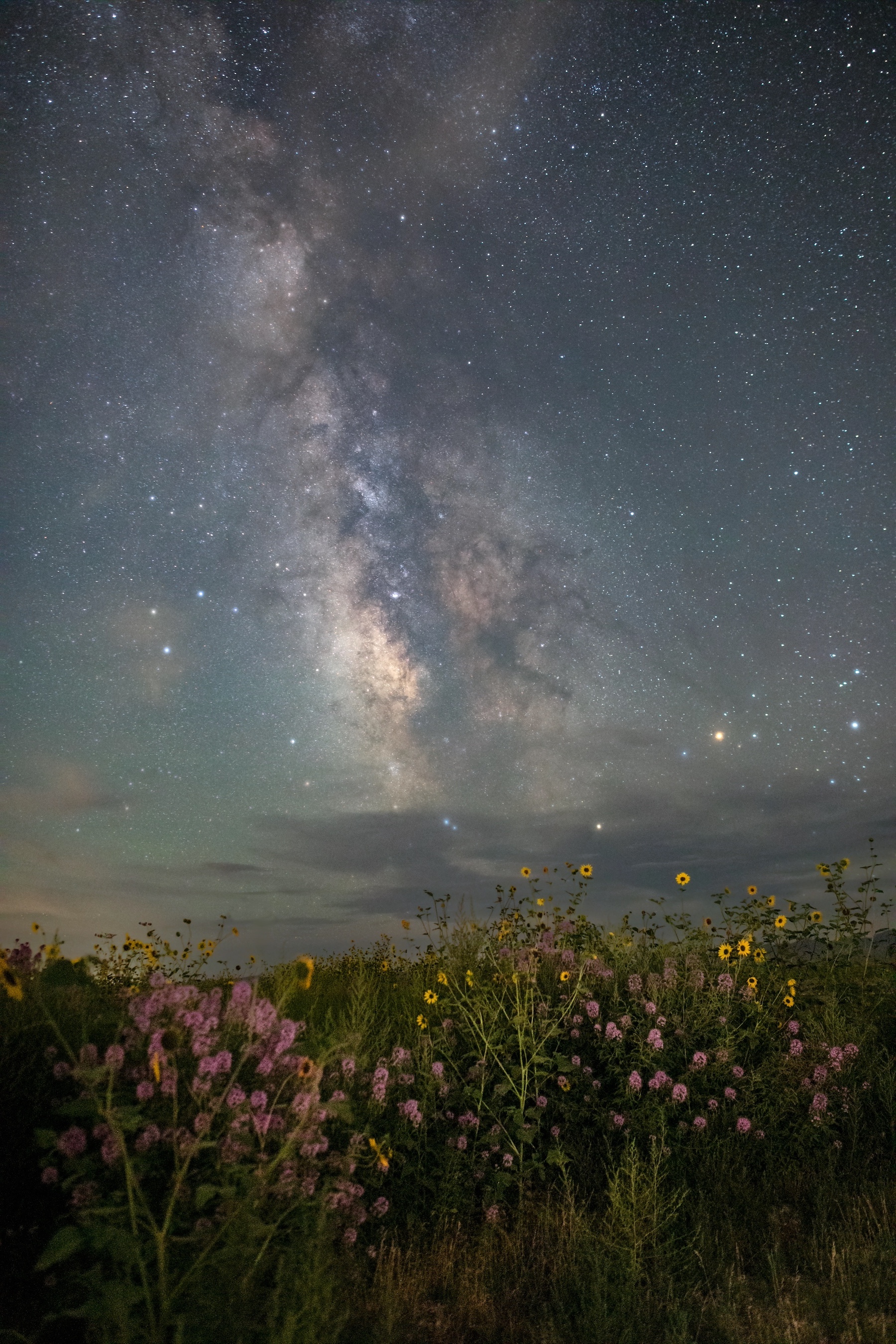 colorful wildflowers growing in bunches, under a night sky with colorful stars and the hazy light of the Milky Way