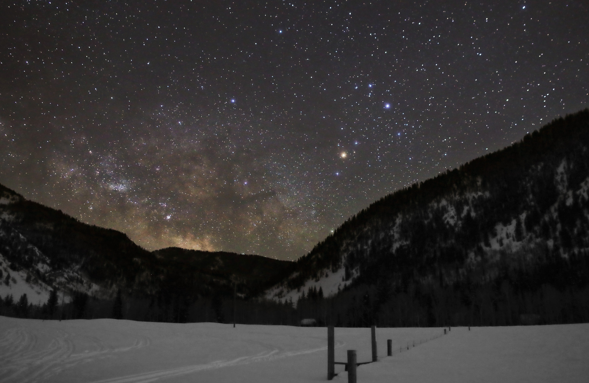 colorful wildflowers growing in bunches, under a night sky with colorful stars and the hazy light of the Milky Way