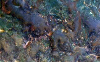 Rocks Gone Wild
