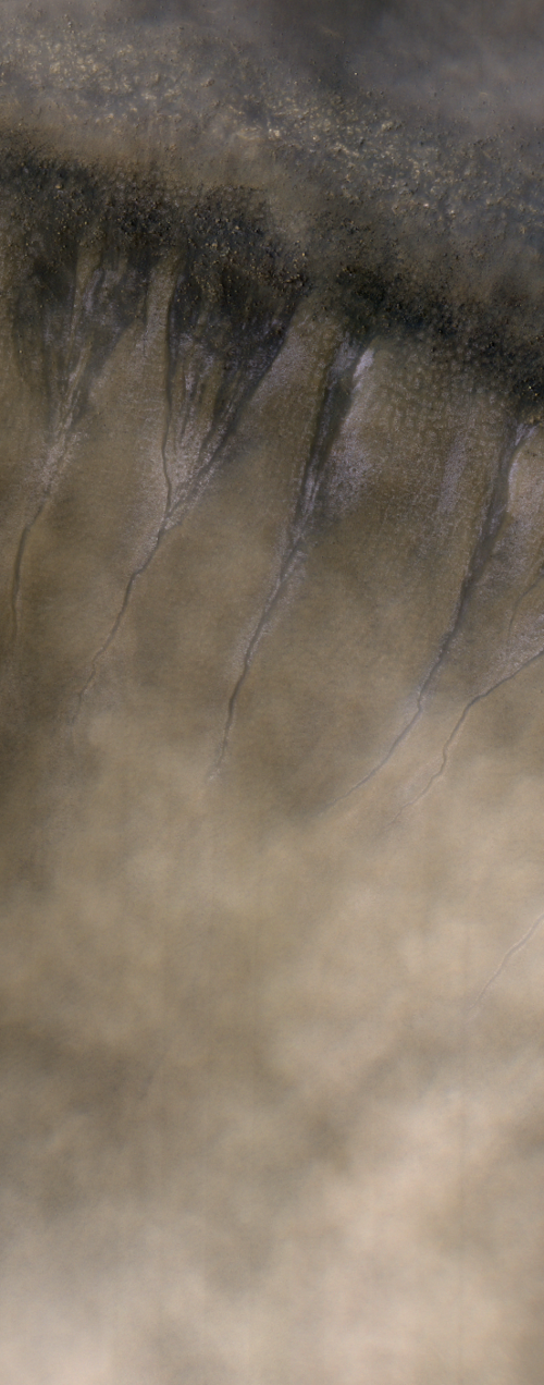 gullies, clouds in a Martian crater