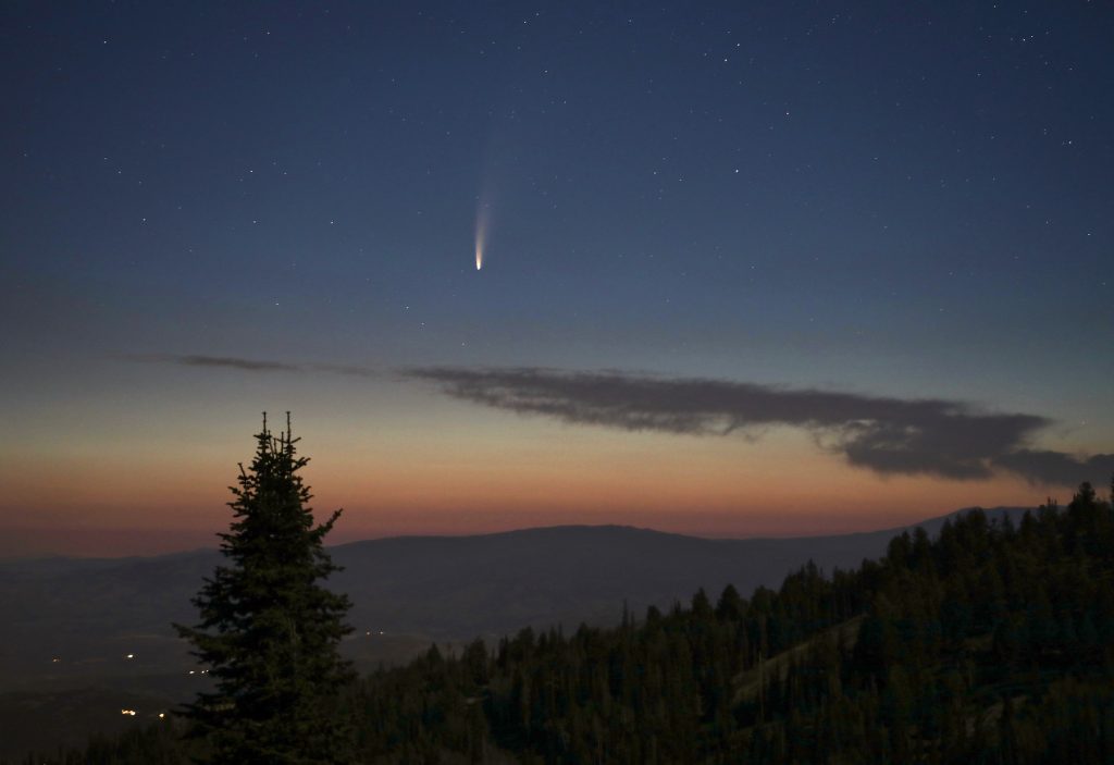 bright comet in early morning sky with pine tree and mountains